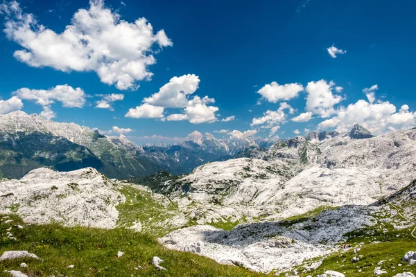 Μια Όμορφη Καλοκαιρινή Μέρα Στο Σχέδιο Canin Julian Alps Friuli — Φωτογραφία Αρχείου