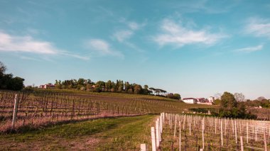 Bir bahar günü Friuli Venezia-Giulia tarlaları