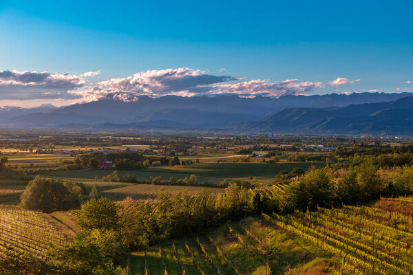 Colorful sunset in the vineyards of Rosazzo, Udine, Friuli Venezia-Giulia