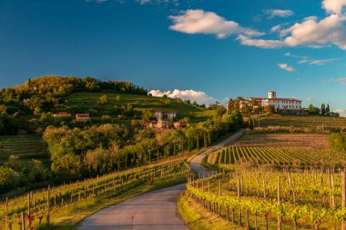 Rosazzo, Udine, Friuli Venezia-Giulia üzüm bağlarında renkli günbatımı