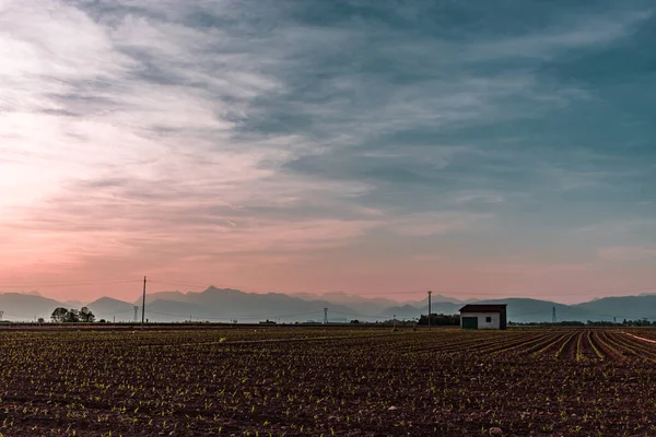 Sonnenuntergang Auf Den Feldern Des Friaul Italien — Stockfoto