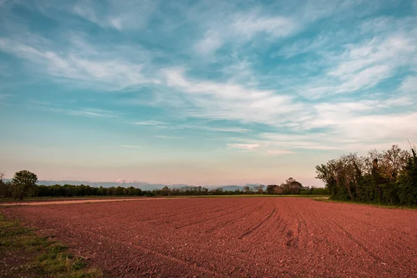 Solnedgång Fälten Friuli Italien — Stockfoto