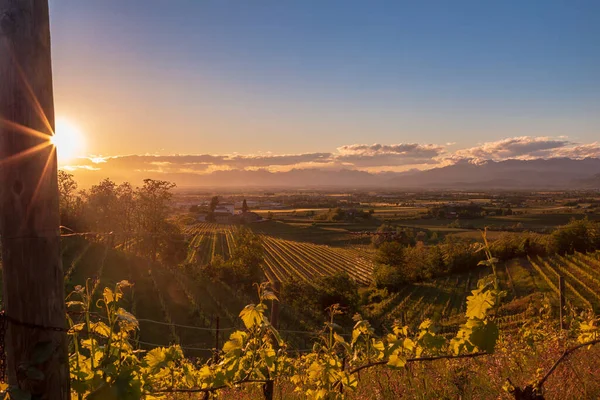 Kolorowy Zachód Słońca Winnicach Rosazzo Udine Friuli Venezia Giulia — Zdjęcie stockowe
