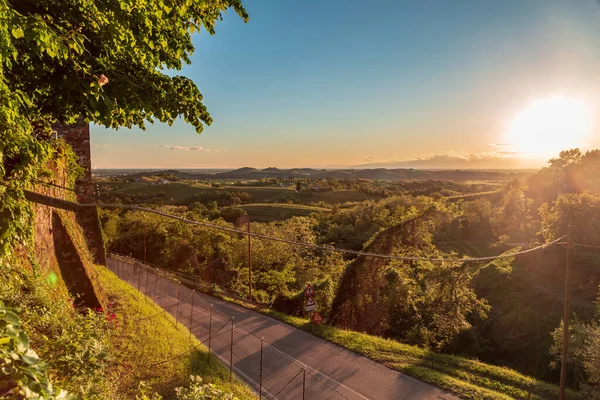 Colorful Sunset Vineyards Rosazzo Udine Friuli Venezia Giulia — Stock Photo, Image