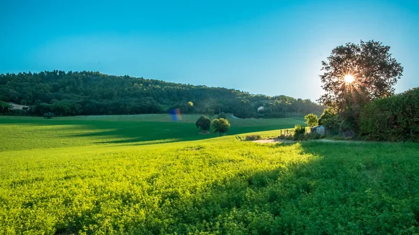 Salida Del Sol Los Campos Marche Desde Pueblo Numana — Foto de Stock