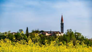 İtalya kırsalında güneşli bir bahar günü