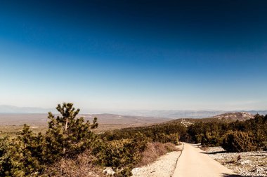 Hırvatistan 'da yaz boyunca tarım arazileri