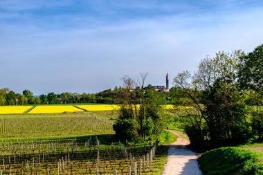 Bir bahar günü Friuli Venezia-Giulia tarlaları