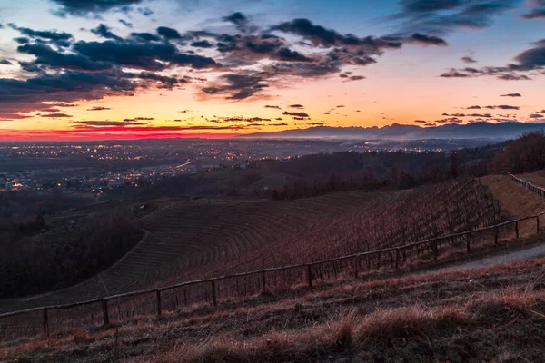 Pôr Sol Inverno Vinha Savorgnano Friuli Venezia Giulia Itália — Fotografia de Stock