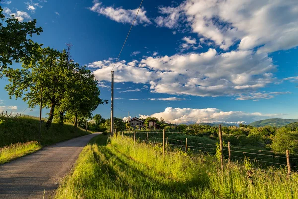 Colorful Sunset Vineyards Rosazzo Udine Friuli Venezia Giulia — Stock Photo, Image