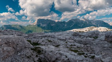 Canin planında güzel bir yaz günü, Julian Alps, Friuli-Venezia Giulia, İtalya