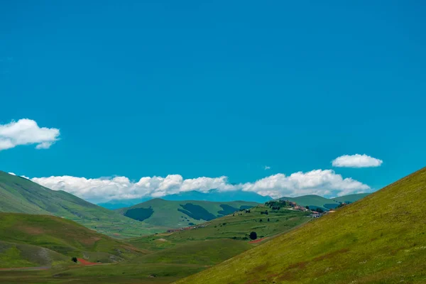 Castelluccio Norcia Daki Çiçeklerle Dolu Mercan Tarlalarının Renkleri — Stok fotoğraf