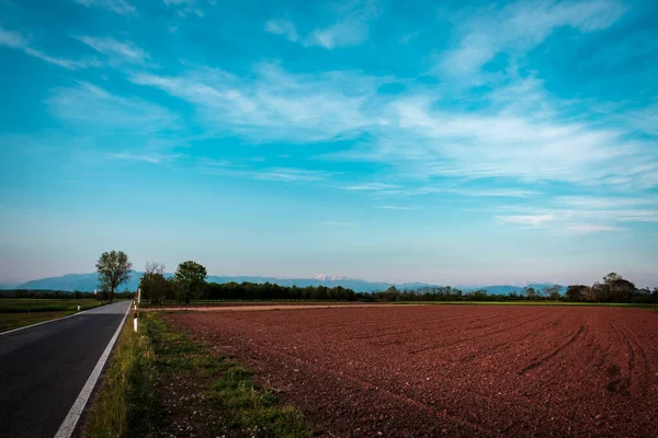 Sunset Fields Friuli Italy — Stock Photo, Image