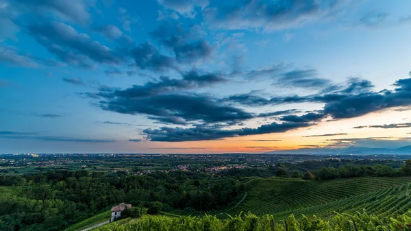 Zon Gaat Onder Boven Wijngaarden Van Savorgnano Del Torre Friuli — Stockfoto