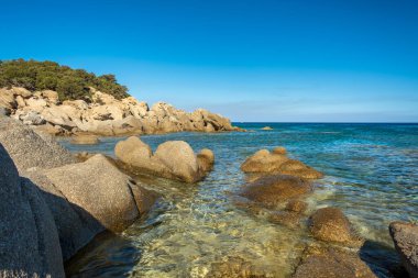 Cala Pira 'da yaz günü, Sardegna' nın güneydoğusunda güzel bir koy.