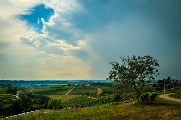 Tempestade Aproxima Das Vinhas Nos Campos Collio Itália — Fotografia de Stock