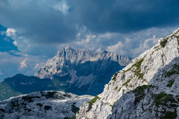 Krásný Letní Den Canin Plánu Julian Alpy Friuli Venezia Giulia — Stock fotografie