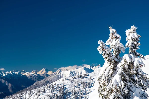 Karniska Alper Efter Ett Stort Snöfall Udine Provinsen Regionen Friuli — Stockfoto