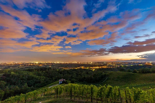 Sol Pone Sobre Los Viñedos Savorgnano Del Torre Friuli Venezia — Foto de Stock