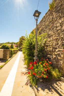 pedonal sokakta elektrik direği