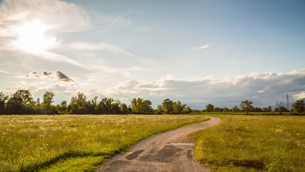 Tarlalardan geçen köy yolu.