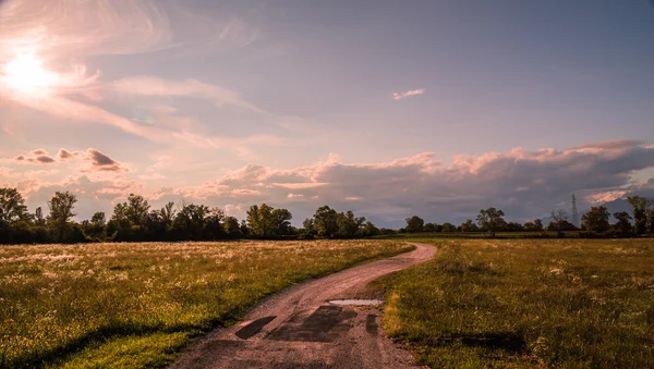 Strada di campagna attraverso i campi — Foto Stock