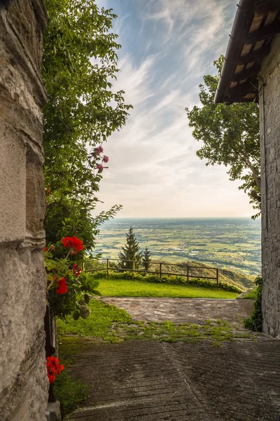 Květiny v aleji — Stock fotografie