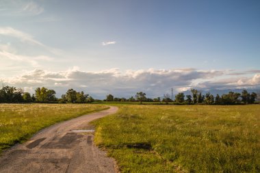 Tarlalardan geçen köy yolu.