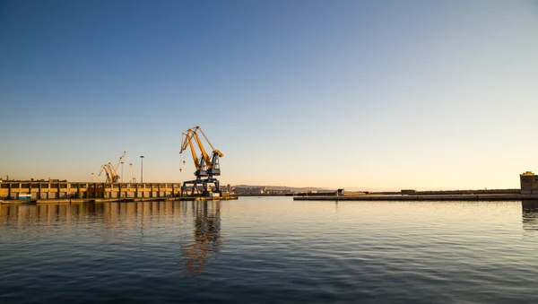 Grues du port de Trieste — Photo