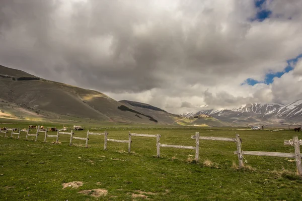 Grazing lands of italy — Stock Photo, Image