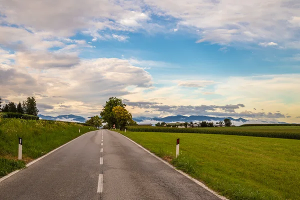 フィールド間の道路 — ストック写真