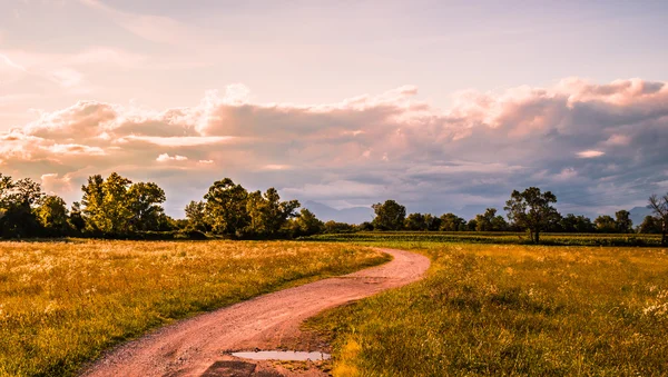 Estrada rural através dos campos — Fotografia de Stock