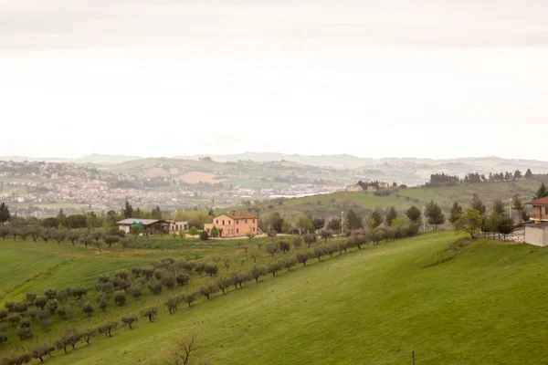 Evening on the hills of Italy — Stock Photo, Image