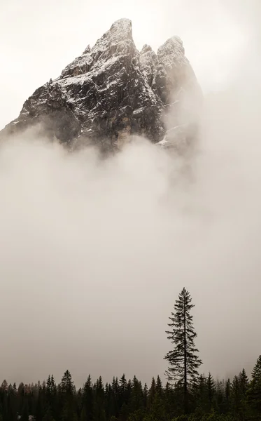 Nebel im Tal — Stockfoto