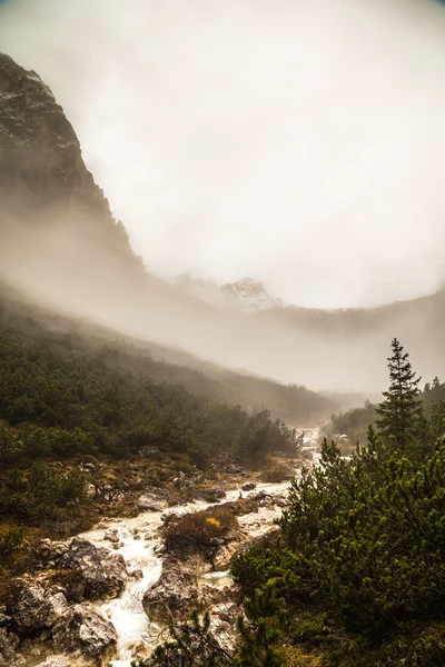 River down the mountain — Stock Photo, Image