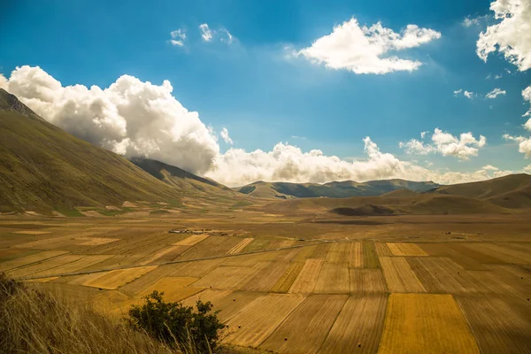 O vedere asupra câmpurilor Italiei — Fotografie, imagine de stoc