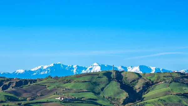 Summer morning on the green hills — Stock Photo, Image