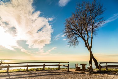 İtalya deniz bankta ağaçlarıyla