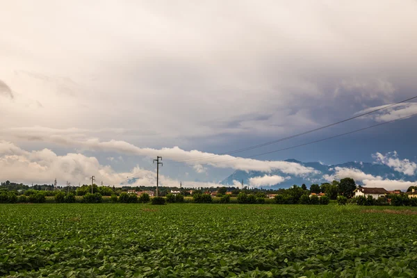 Storm i fälten för Italien — Stockfoto