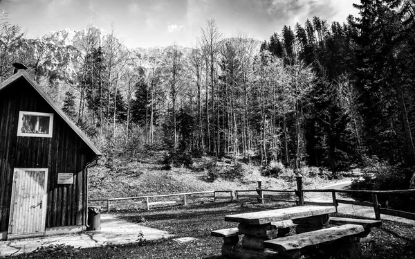 Bir Bank ile Alpine hut — Stok fotoğraf