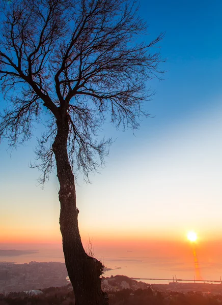 trieste Körfezi akşamları