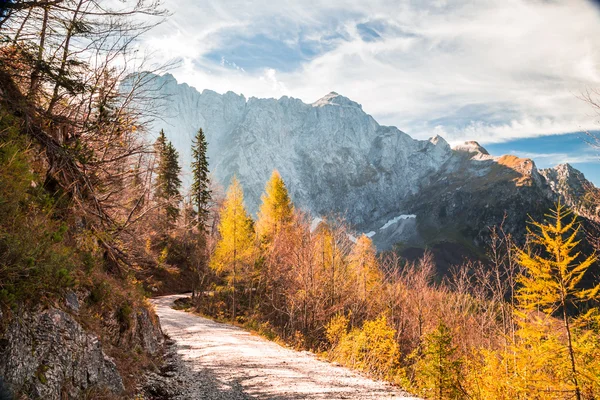 Herbstmorgen in den Alpen — Stockfoto