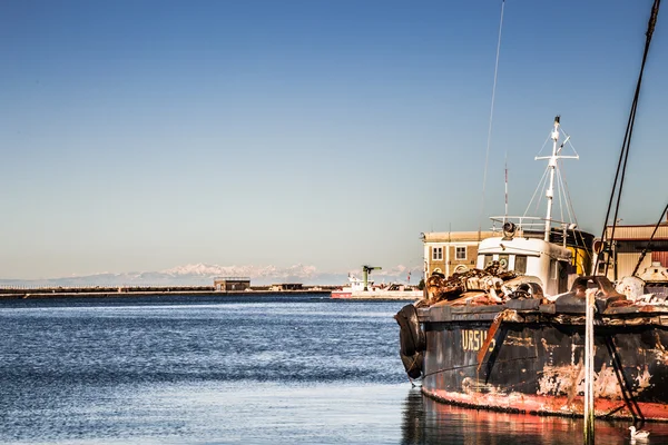 Una vieja grúa en el puerto de Trieste — Foto de Stock