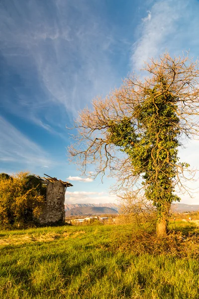 Verlaten boerderij op het platteland — Stockfoto