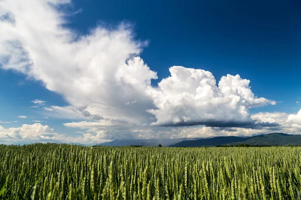 Storm over the fields — Stock Photo, Image