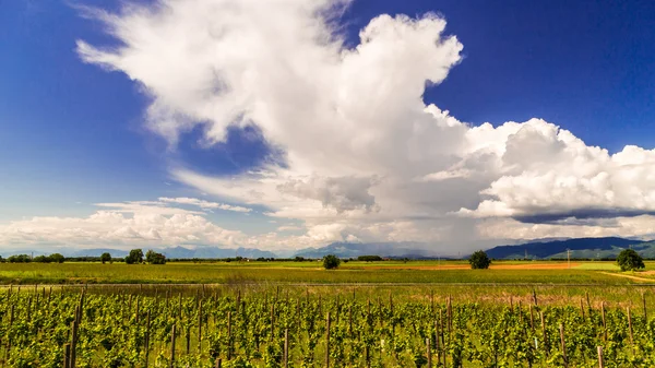 Tempesta sui campi — Foto Stock