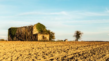 Kırsalda terk edilmiş bir çiftlik.