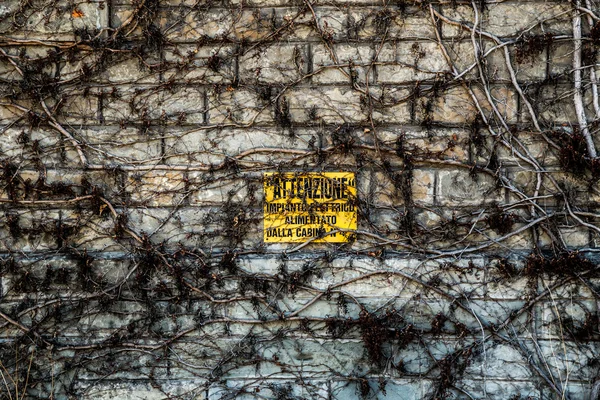 트리에스테에 있는 오래 된 벽 — 스톡 사진