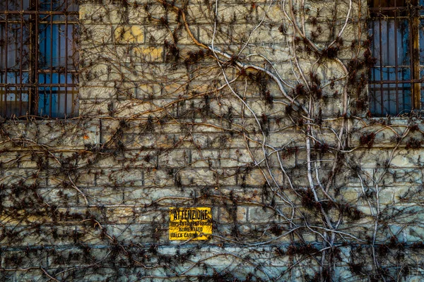 Vecchio muro a trieste — Foto Stock