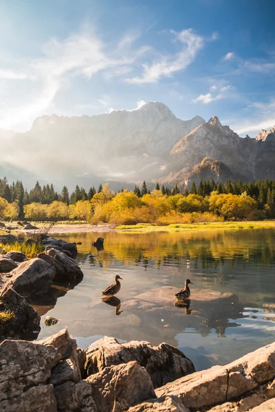 Herfst ochtend in de Alpen — Stockfoto